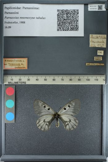 Media type: image;   Entomology 180102